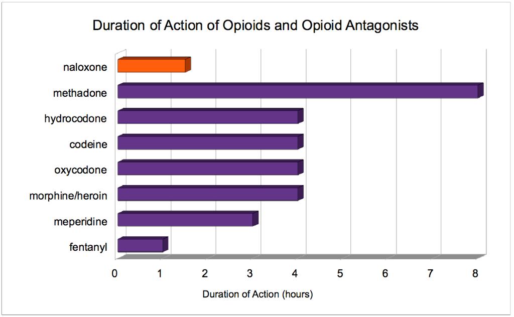 Duration of Action of Opioids and Opioid Antagonists Brenner GM, Stevens CW.