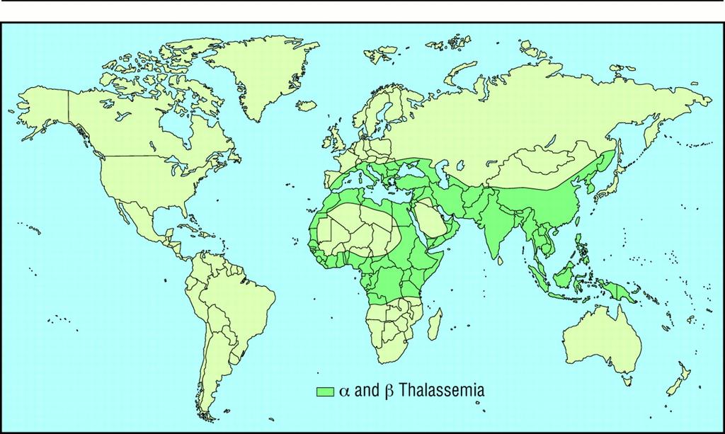 Where is Thalassemia Endemic? Point Mutations Causing β-thalassemia The mutations are distributed throughout the β globin gene.