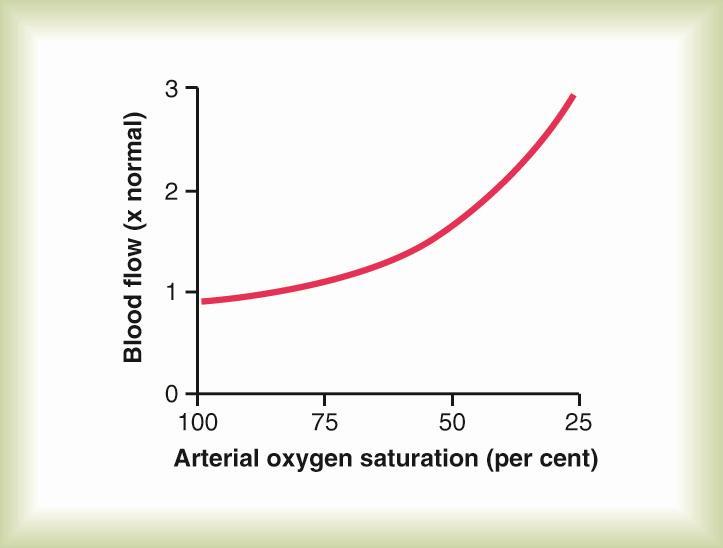 Effect of Tissue Oxygen concentration on Blood