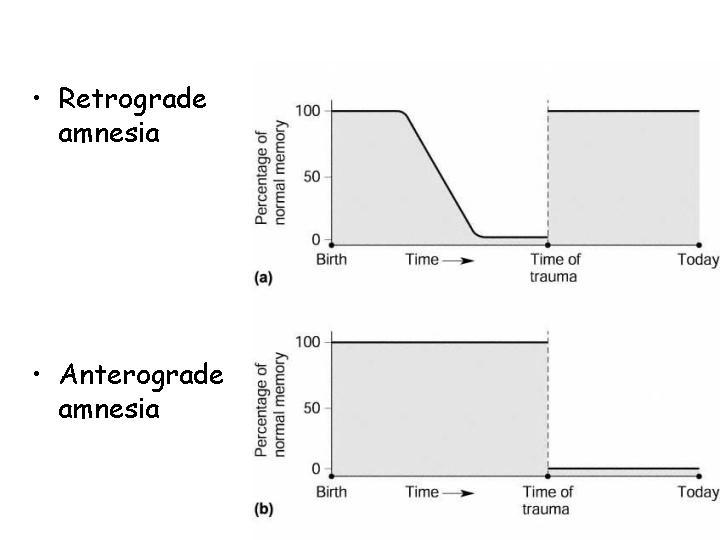 lesion, but childhood memories in tact known as a time-limited or temporally-graded retrograde amnesia