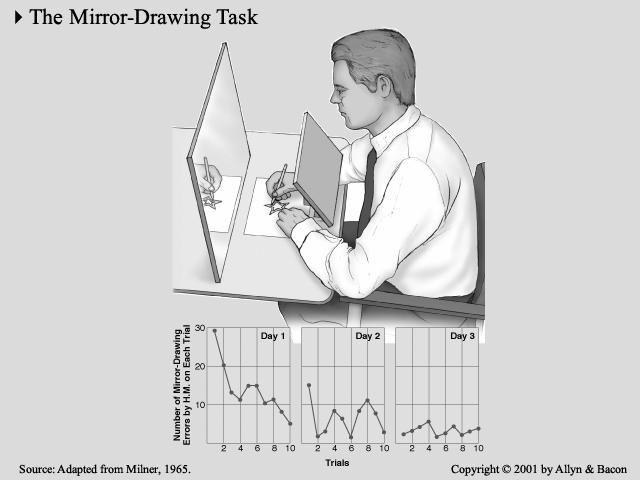 memory elsewhere in the brain Spared learning HM could improve on task but didn t recognize task each day Learns some things normally: visual motor pursuit priming mirror drawing task normal