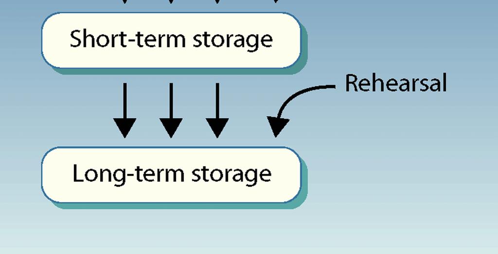 5 Modal model of memory