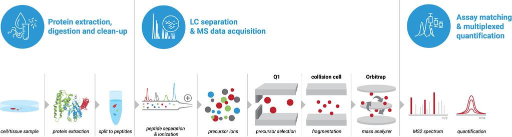 Parallel Reaction Monitoring (PRM) NEXT-GENERATION PROTEOMICS Introduction Blood plasma and serum are the most common sample types in routine diagnostics as well as for biomarker discovery.