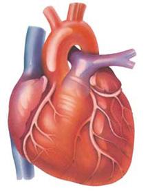 arteries : leads to an imbalance between oxygen