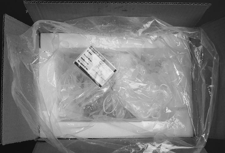 EXCHANGE PROGRAMME AKX 5. Transport box is lined with a heavy duty plastic bag and 2/3 filled with crushed ice.