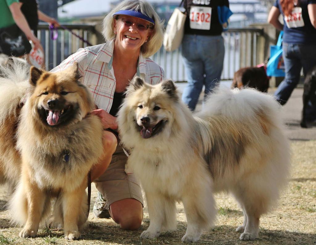Doggie Dash Voted Best Pet Event in Portland for 10 Years Running Doggie Dash is Portland s #1 run/walk festival for people and pets, and OHS largest consumer event of the year.