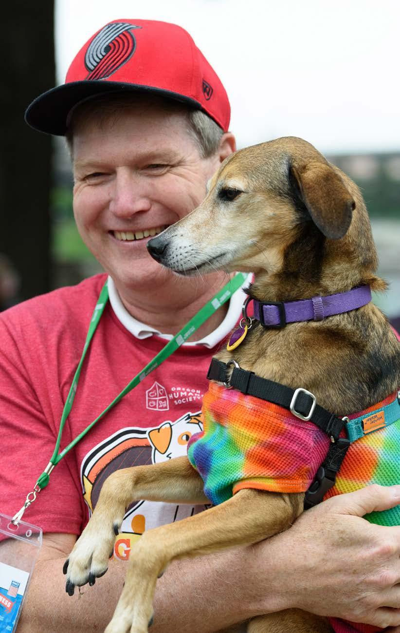 Custom Sponsorship Opportunities $2,500 - $10,000 SPECIAL ATTRACTION PAVILION SPONSORSHIPS Specific focus on the interests of Doggie Dash attendees» Travel (with Fido)» (Human) Health and Wellness»