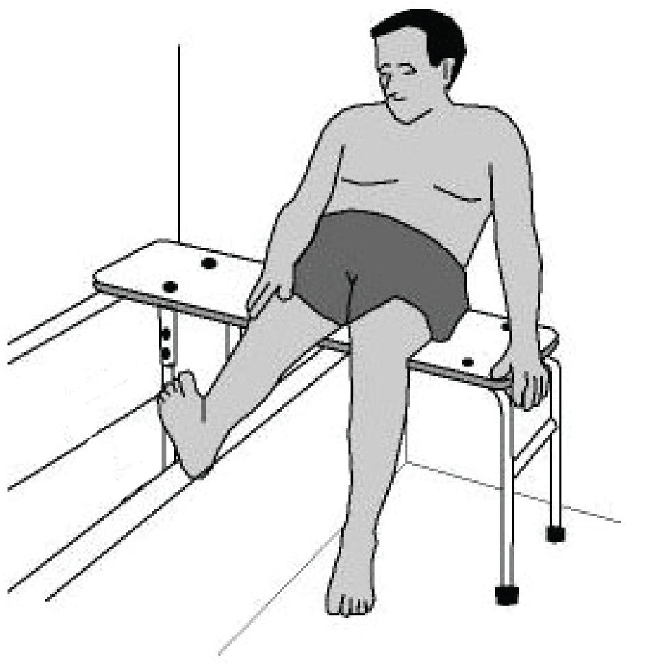 OR If you are Non Weight Bearing, Feather Weight Bearing, Toe Touch Weight Bearing, or Partial Weight Bearing 1. Use a transfer tub bench (with legs that change height).