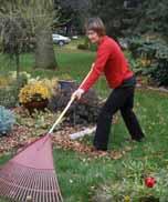Yardwork Raking Keep the rake close to