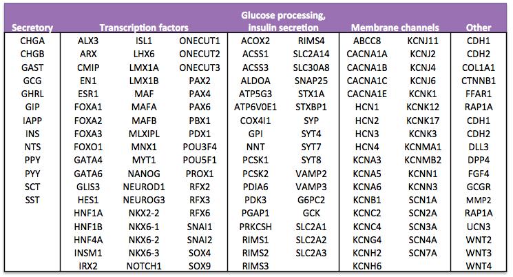 To further analyze hpsc-ins + cells we focused on 152 genes known for their role in pancreatic development, endocrine hormone secretion and glucose metabolism 20,28,39 (Table 4-1).