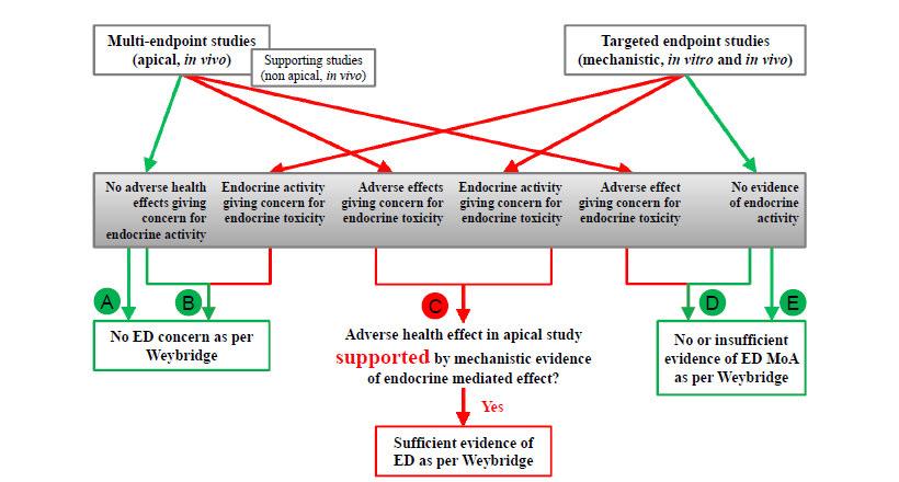 Figure 1 (taken from ECETOC Technical report 106): Decision Tree for toxicology to determine whether a