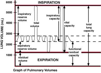 Pregnancy: physiologic changes Diaphragmatic elevation causes decrease in RV and ERV 18% decrease in FRC Loss of oxygen