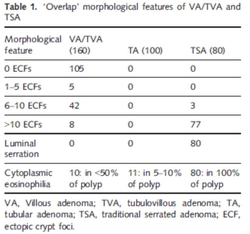 ECF in TSAs Kim - 79% Wiland - 62% Vayrynen - 100% O Brien - ECFs related to villous morphology rather than serrated