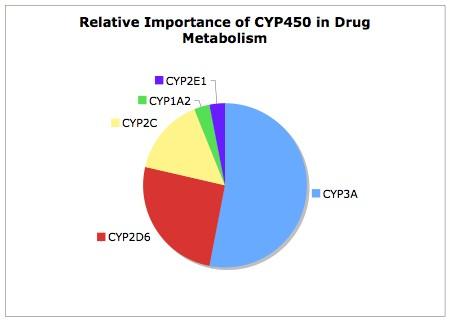 Metabolism Most oxidative metabolism occurs via CYP450