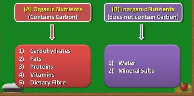 The presence or absence of carbon is what differentiates organic nutrients from inorganic nutrients.