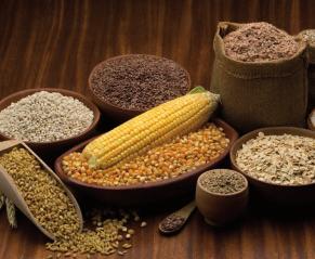 Wheat, rice, rye, barley, corn, and oat Why? Whole grains are a true treasure of very useful substances for our health.