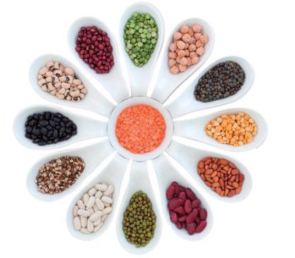 Legumes An Insight What are they? Legumes are a type of vegetable including chickpeas, beans, broad beans, peas, lentils, and soybeans.