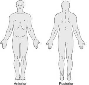 Criteria: Standing Erect Facing Forward Arms at Sides Palms Forward Feet Slightly apart Directional Terminology. When comparing the location of one body part to another, we use directional terms.