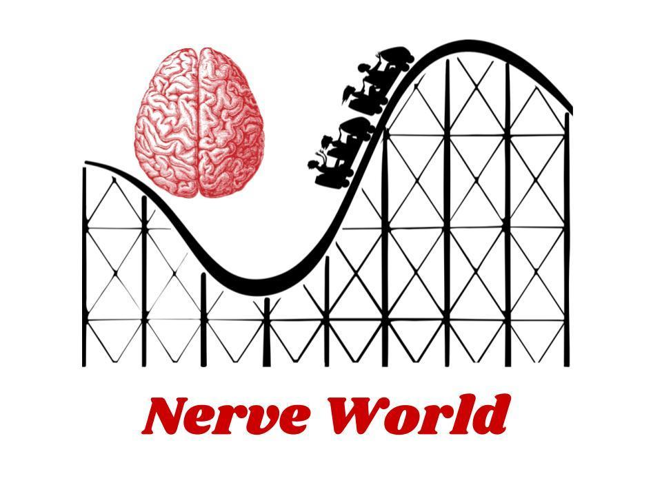 Activity: Nervous System Amusement Park In table groups, your task is to create a drawing and description of a amusement park ride your design that is in align with a theme of one