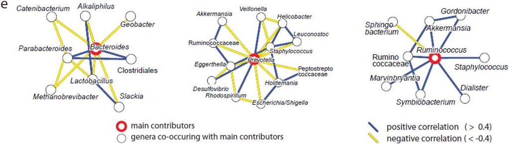 blue; Parabacteroides, yellow; other bacteroides, black; Bifidobacterium, gray (Source: additional file 8 in Caporaso JG, Lauber CL, Costello EK, et al Moving pictures of the human microbiome.