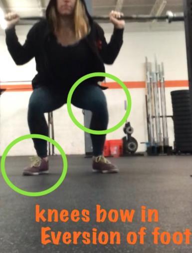 Functional Knee Valgus in a Barbell Squat 11 Table 1.3: Musculature acting knee extension.