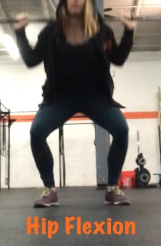Functional Knee Valgus in a Barbell Squat 3 Table 1: Musculature acting on the hip joint.