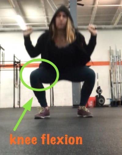 Functional Knee Valgus in a Barbell Squat 7 Table 1.1: Musculature acting on the knee joint.