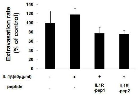 In vitro transendothelial migration assay of mouse monocytes - Ilonerin treatment decreased the extravasation of