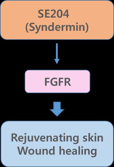 III. SE204 (Syndermin, FGFR activating tripeptide) Syndermin is a low