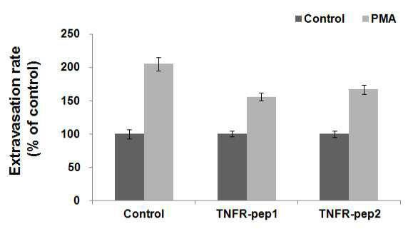 IV. SE205 (Tenefrin, TNF-α inhibiting anti-inflammatory tripeptide) Tenefrin tripeptide inhibits TNF-α (tumor-necrosis factor- α), another inflammatory factor, leading to skin soothing or anti-photo