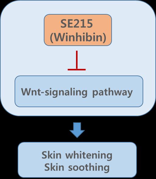 VIII. SE215 (Winhibin, Wnt-inhibiting tripeptide) Winhibin, an INCI named cosmeceutical / cosmetic