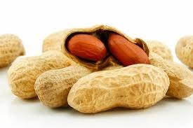 Rapid food allergies are dangerous 13y boy hx of avoiding peanut for eczema since infancy Tries peanut