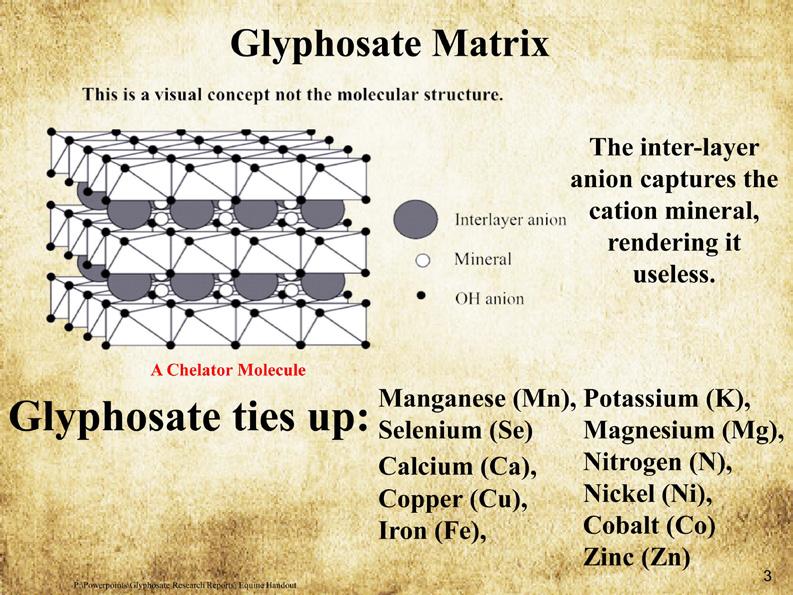 Glyphosate Contaminated Foods Grains today, unless they are certified organic or GMO-free, are contaminated with GMOs and glyphosate.