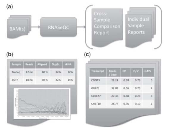 RNA-SeQC provides three types of quality control metrics: Read Counts Coverage Correlation