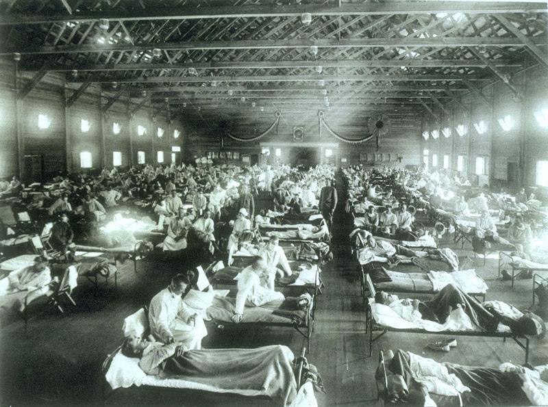Influenza Pandemics: Biological Perfect Storms.