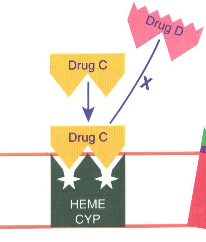 Drug Interactions: Inhibition Common CYP2D6