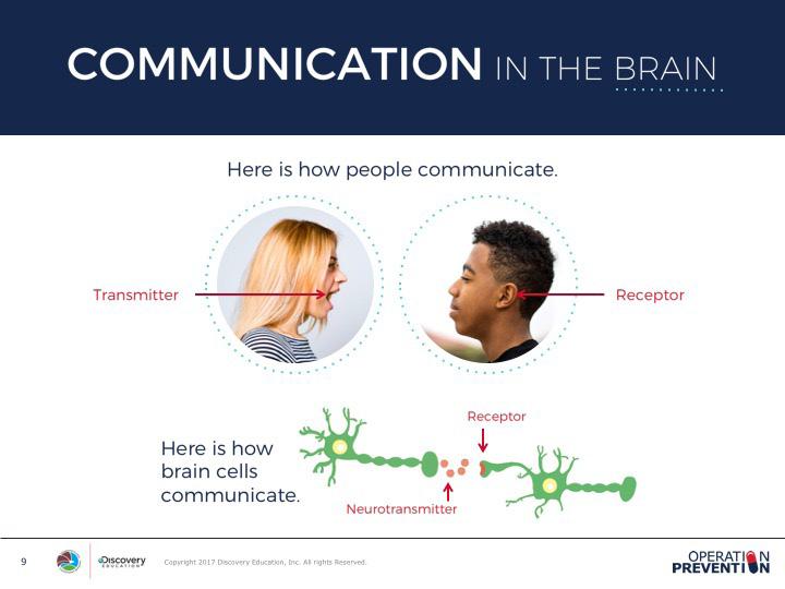 We also know the nervous system helps us communicate information throughout our bodies. Ask students: How are messages sent throughout our bodies? and invite students to share out their ideas.