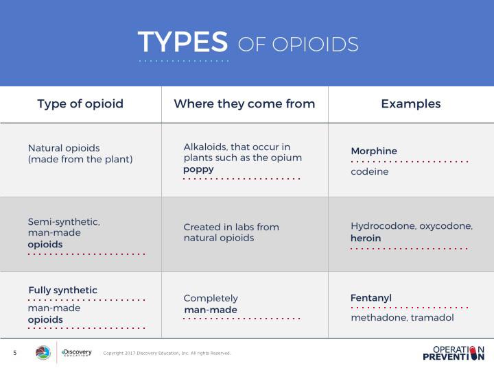 ENGAGE SLIDE 5 It s important for students to know that synthetic and natural opioids work in our bodies the same way.