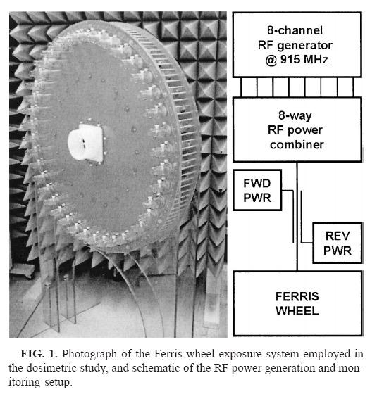 RFR exposure system evaluation and design Most animal studies at the time used a Ferris-wheel exposure system Maintained uniform field exposures, but short duration of exposure in restrained animals