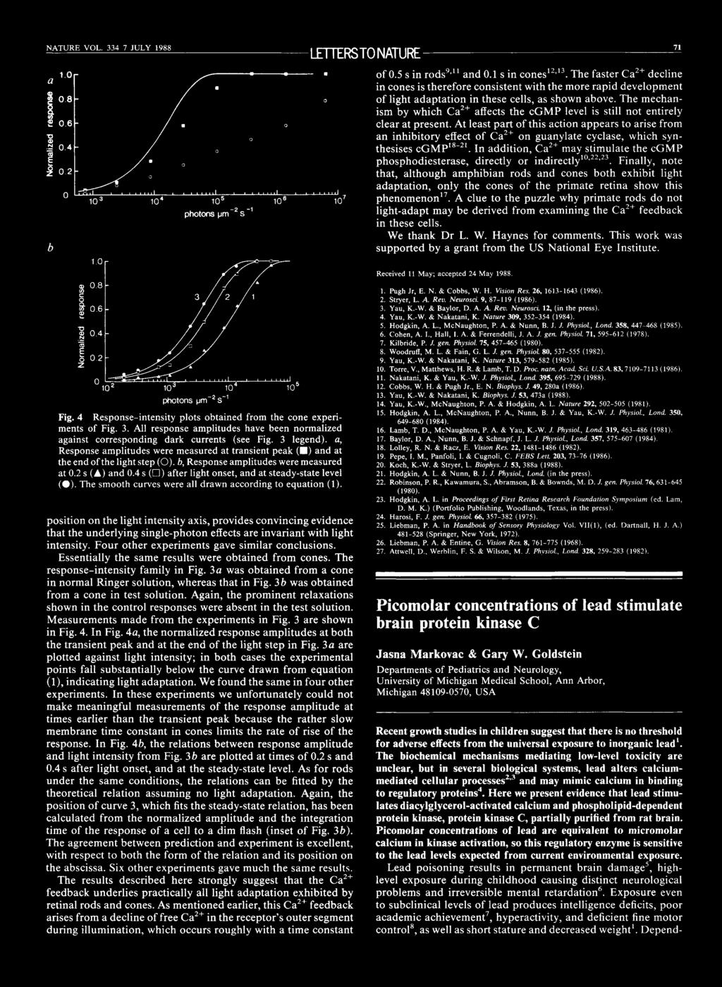 Ca ++ and rod adaptation (Nakatani and Yau, 1988) Ca ++ and rod adaptation Figure 10.