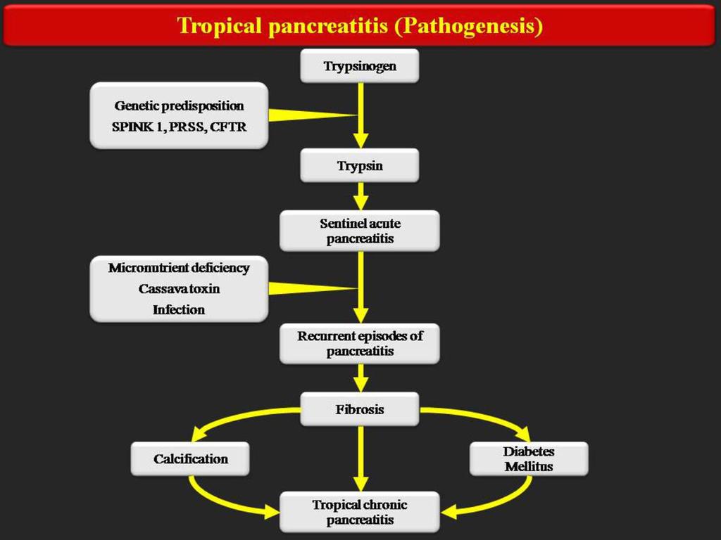 Fig. 3: Aetio-Pathogenesis of Tropical Chronic Pancreatitis References: Dr.