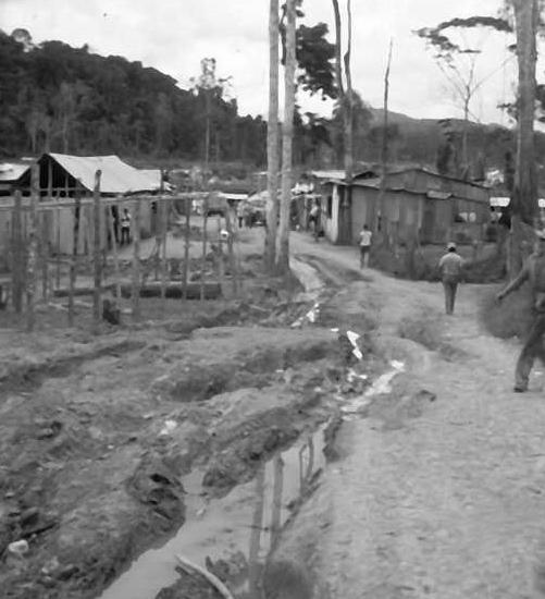 Human behavior: pioneer settlement in Venezuela with