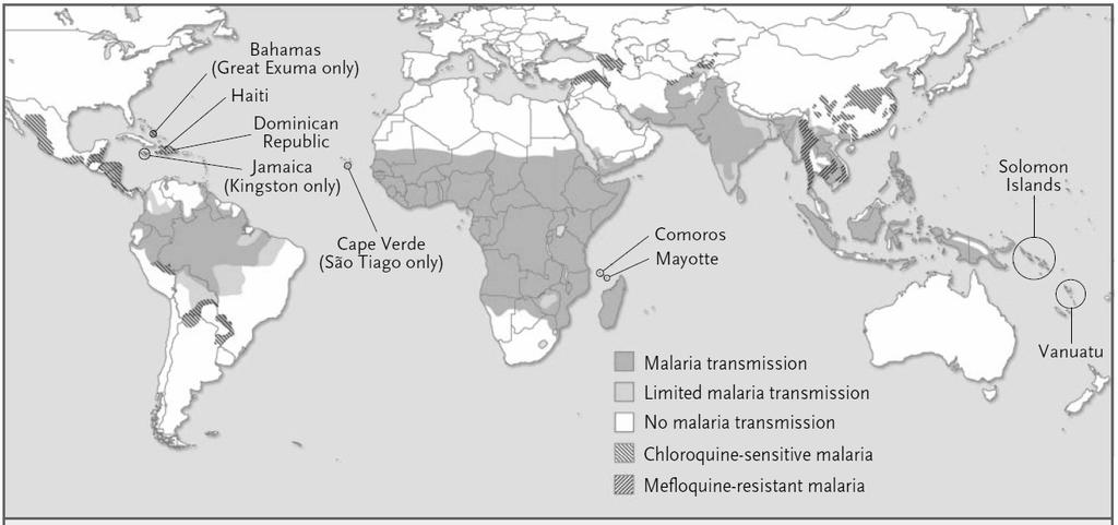 Distribution of malaria species P. ovale P.