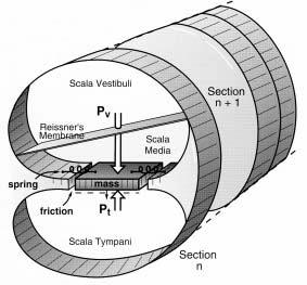 Cochlear Mechanics: Measures of Basilar Membrane Motion