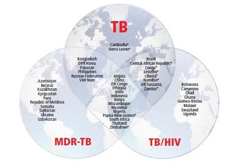 India: high TB, high MDR-TB, high TB-HIV burden country 56% of TB incidence occurs in