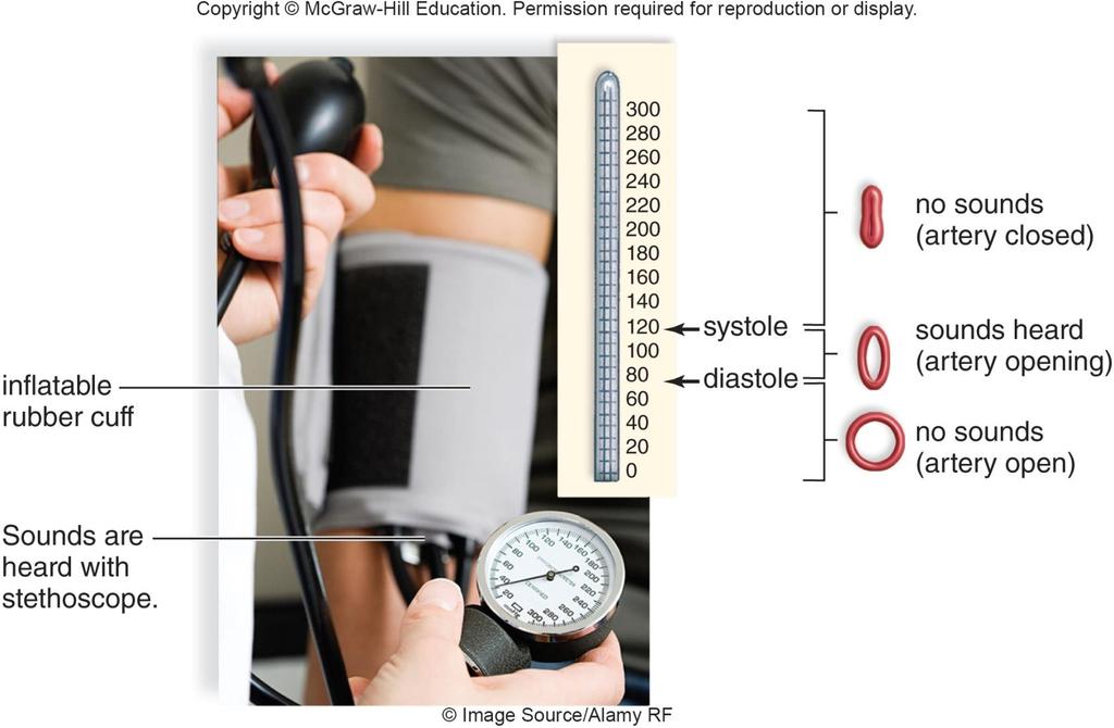 5.4 Features of the Cardiovascular System How blood pressure is