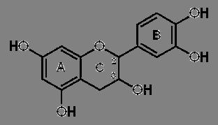 Chemistry of Catechins Characteristics of catechins Two benzene rings (A & B) A