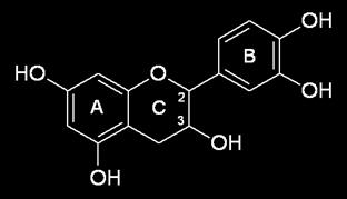 The (B) ring is similar to catechol Two chiral centers at C2 and C3 Four