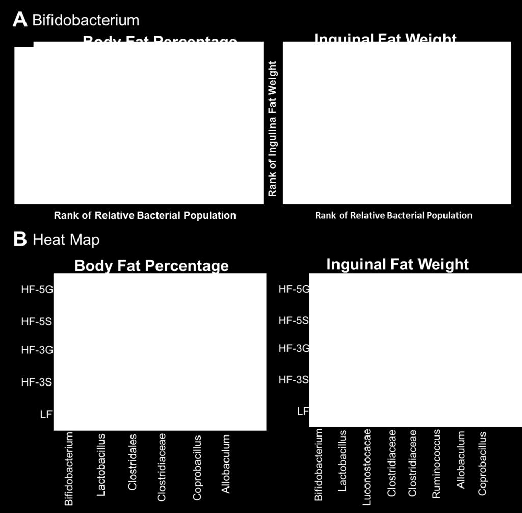 001) and inguinal fat pad weight (r = -0.48, p = 0.004) as determined by Spearman Correlation Analysis.