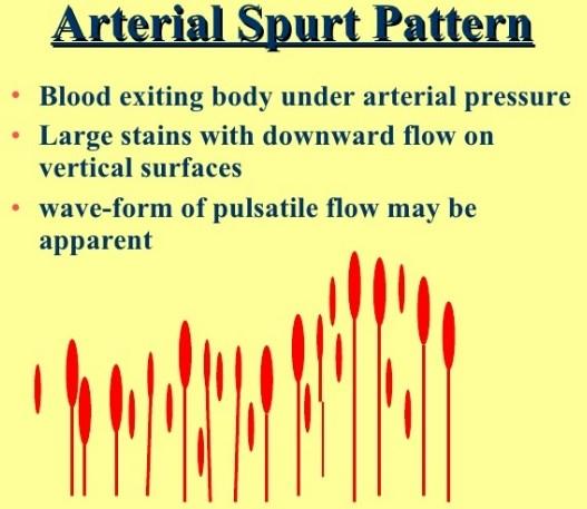 Blood Spatter Patterns Use of force to describe the blood spatter In the past, forensic investigators used velocity to describe a pattern of blood dispersion.